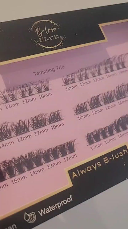 Tempting Trio Lash Box